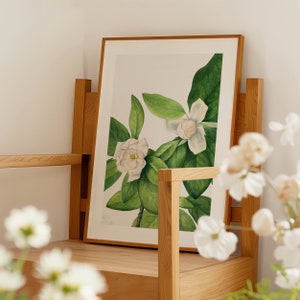 Vintage Magnolia Print / Antique Flower Poster / Vintage Botanical Art