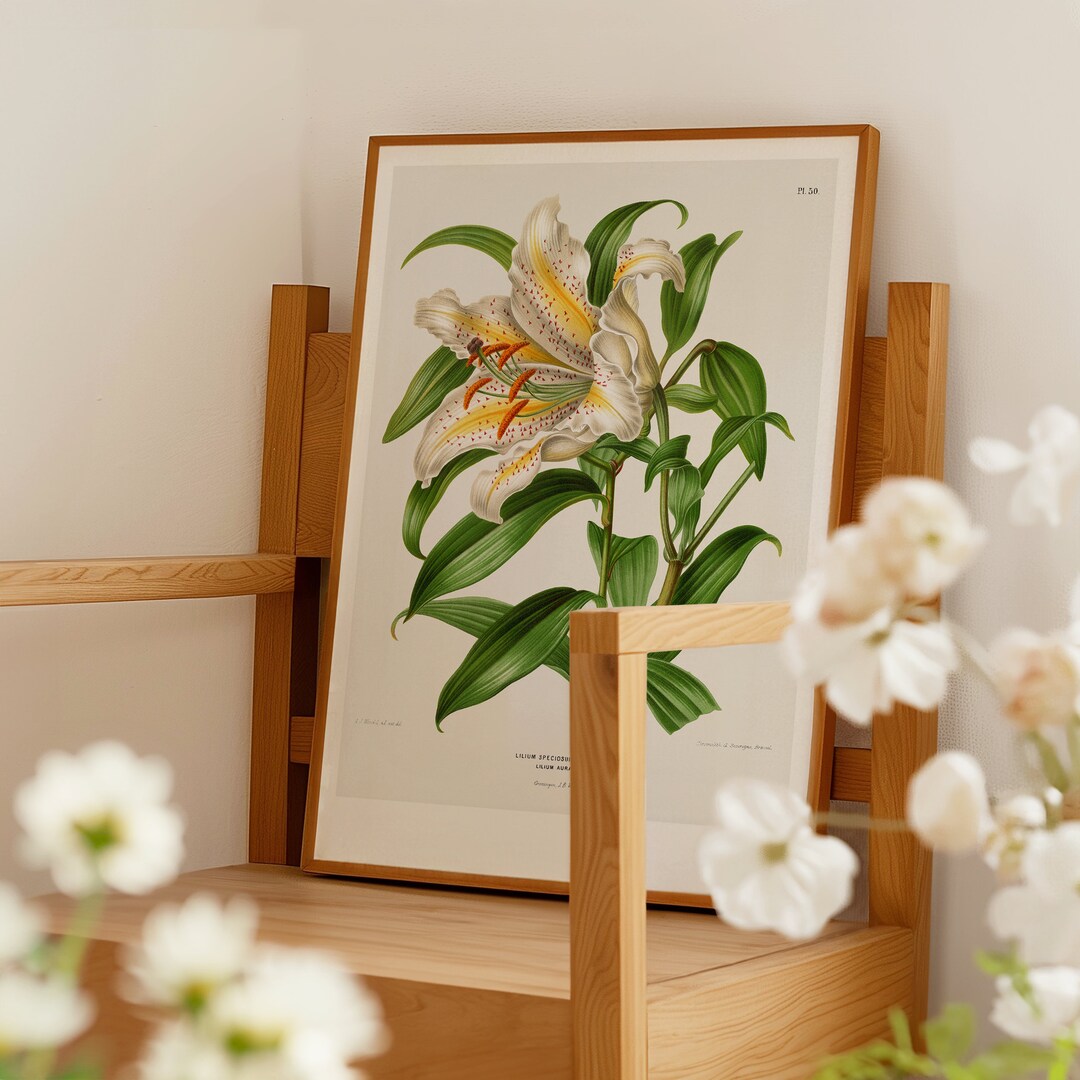 Vintage Lily Print / Antique Flower Poster / Vintage Botanical Art - Etsy