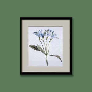 Impression d’art floral sur papier 11x17 sans acide