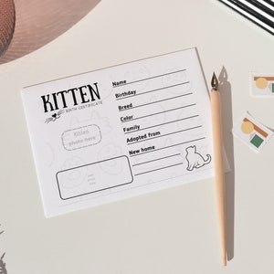 Kitten geboorteakte voor kinderen, kind eerste huisdier, kinderen eerste kitten, nieuw kitten, kitten verantwoordelijkheid, kattenmoeder, nieuwe kattenmoeder, kattenliefhebber