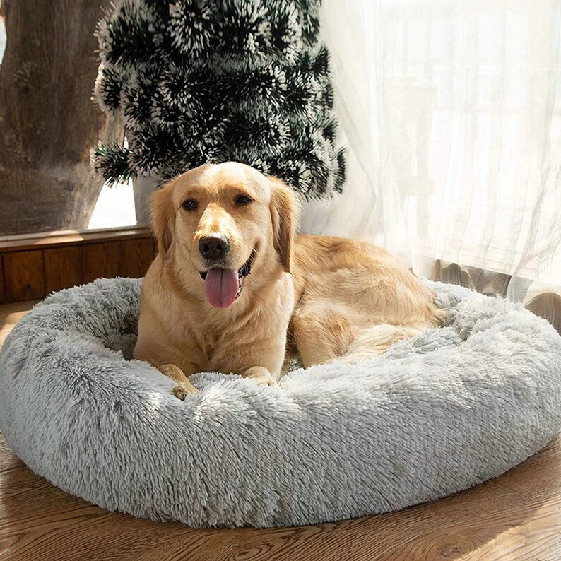 xxl dog cot