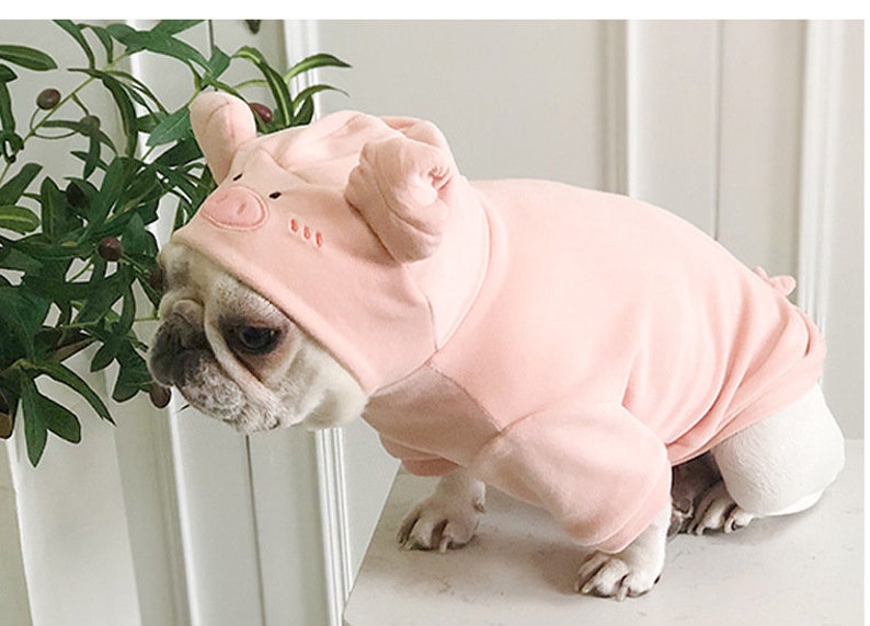 Pig Dog costumes for Halloween pet Halloween costume dog Etsy