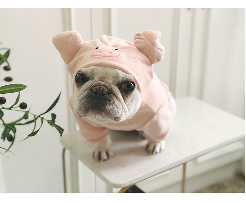 Pig Dog costumes for Halloween pet Halloween costume dog Etsy