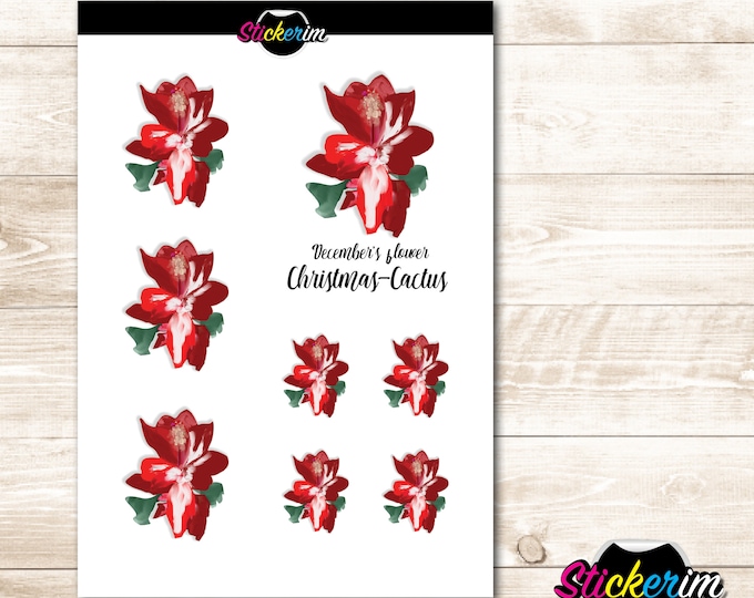 December Flower Stickers: Christmas Cactus, Planner Stickers (PDF)