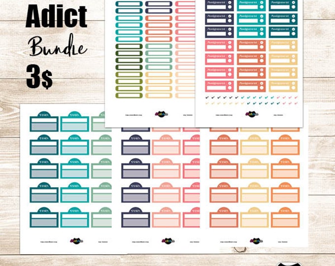 Multicolor Planner Stickers: Assignment Label Bundle (PDF & PNG)