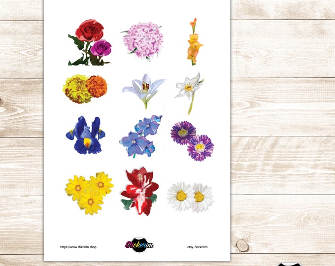 Floral Planner Stickers,  Bullet Journal Stickers, Scrapbook Sticker, Floral Sticker, Cute Stickers, Bullet Journal, Erin Condren