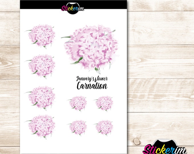 January Carnation Stickers: Floral Planner Stickers (PDF)