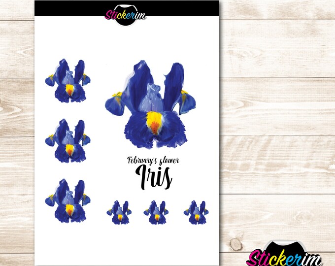 February Iris Stickers: Floral Planner Stickers (PDF Pattern)