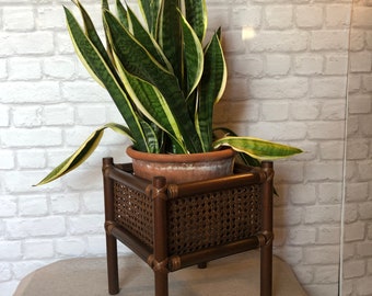 Beautiful plant stand with Viennese braid