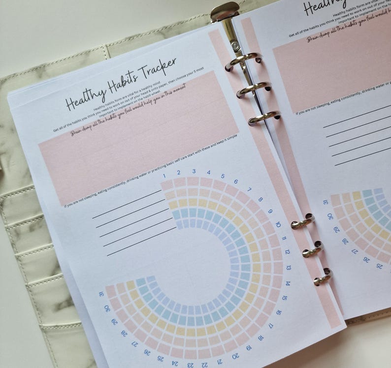 May include: A pink and white planner page with a section titled "Healthy Habits Tracker". The page includes a chart with a rainbow-colored circle and a list of numbers from 1 to 31. The text "Draw down all the habits you feel would help you in this moment" is written on the page.