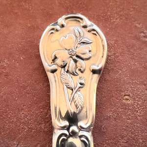 May include: Close-up of the ornate handle of a silver spoon, featuring an embossed design of a flower with five petals.