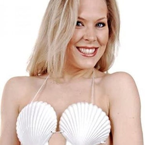 SHELL BRA Costume Clam Luau Mermaid Bikini Top Plastic Laby Gags Sea Adult MTV