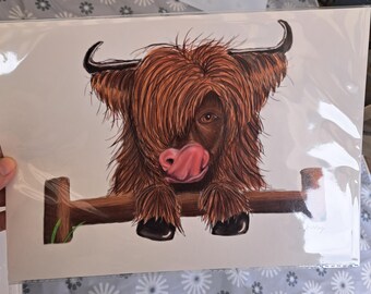 A4 highland cow, highland coo print