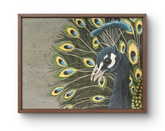 May include: Framed artwork featuring a detailed illustration of a peacock. The peacock's head and neck are a deep blue, with a white beak. Its feathers are green, yellow, and blue. The artwork is in a brown wooden frame.