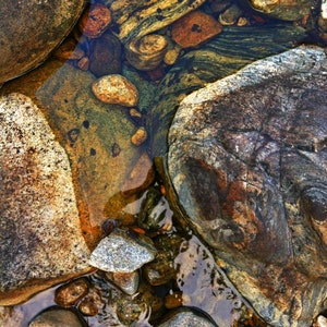 Planet Rocks