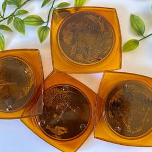 Peut inclure: Quatre dessous de verre carr&eacute;s ambr&eacute;s avec un motif circulaire au centre. Les dessous de verre ont un bord transparent et un centre brun fonc&eacute;, peut-&ecirc;tre &agrave; motifs. Ils sont dispos&eacute;s sur une surface blanche avec des brins de feuilles vertes.