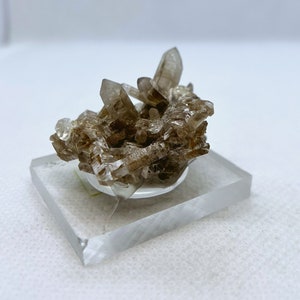 Natural Smoky Quartz crystals cluster with tiny topaz crystals from Sherlova Gora, Nerchinsky District, Zabaykalsky Krai, Russia.