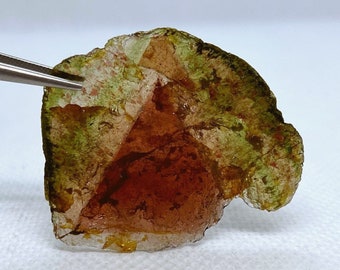 Top Qualität Liddicoatit Wassermelonen Turmalin Kristall Scheibe Einseitig poliert Specimen aus Madagaskar.