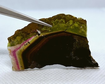 Top Qualität Liddicoatit Wassermelonen Turmalin Kristall Scheibe Doppelpoliert Specimen aus Madagaskar.