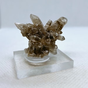 Natural Smoky Quartz crystals cluster with tiny topaz crystals from Sherlova Gora, Nerchinsky District, Zabaykalsky Krai, Russia.