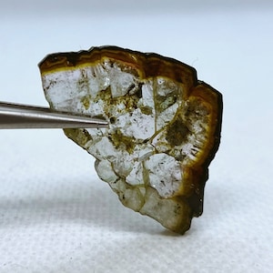 Top Quality Elbaite Bicolor Tourmaline Crystal Slice Double Polished Specimen from Malkhan pegmatite field, Eastern Siberia, Russia.