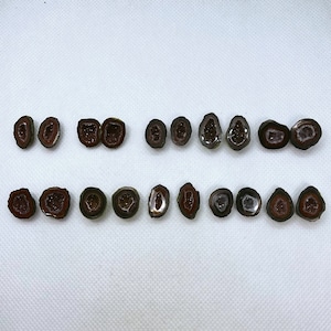 Natural Tabasco Agate Geode Pair from Mexico. (Price for 1 pair!!!)