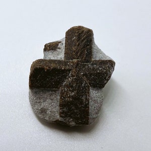 А perfect Staurolite crystal on matrix form Kola Peninsula,Russia.