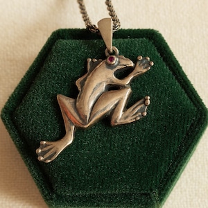 May include: A silver frog pendant with a red gemstone eye, hanging from a silver chain. The pendant is displayed in a green velvet box.