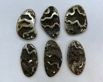 Natural Pyritized with Chalcopyrite Ammonite Polished Cabochon form Ulianovsk,Russia. (Price for 1 piece!)
