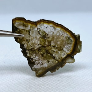 Top Quality Elbaite Bicolor Tourmaline Crystal Slice Double Polished Specimen from Malkhan pegmatite field, Eastern Siberia, Russia.