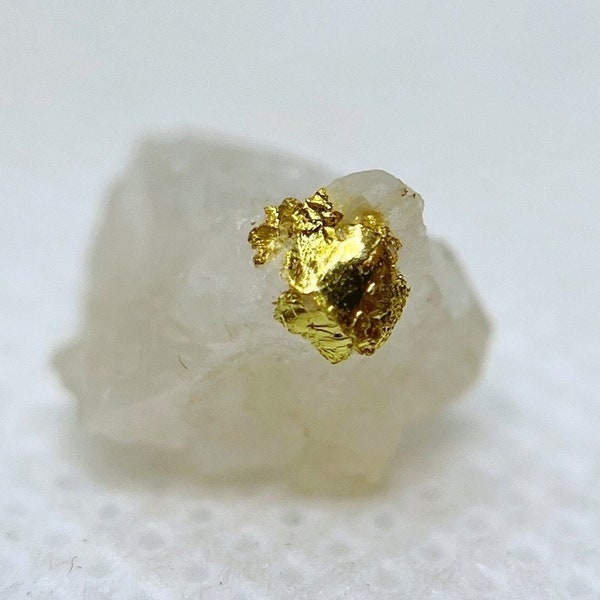 Natural native gold in quartz rough crystal from Oriental Mine, Alleghany District, Sierra County, California, USA.