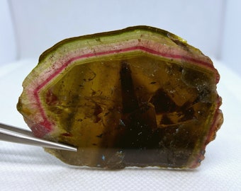 Top Qualität Liddicoatit Wassermelonen Turmalin Kristall Scheibe Doppelpoliert Specimen aus Madagaskar.