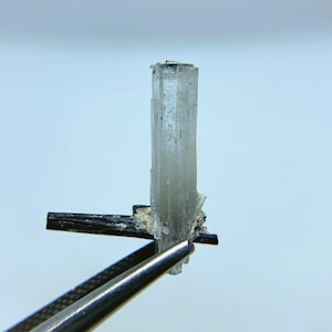 Natural Goshenite (white beryl) with black tourmaline (schorl) crystal from Namibia.