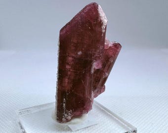 May include: A deep pink, translucent, elongated crystal with a pointed tip. The crystal is on a clear display stand.