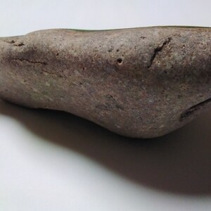 May include: A smooth, gray, and brown rock with a slightly green hue. The rock is oval-shaped and has a rough texture.