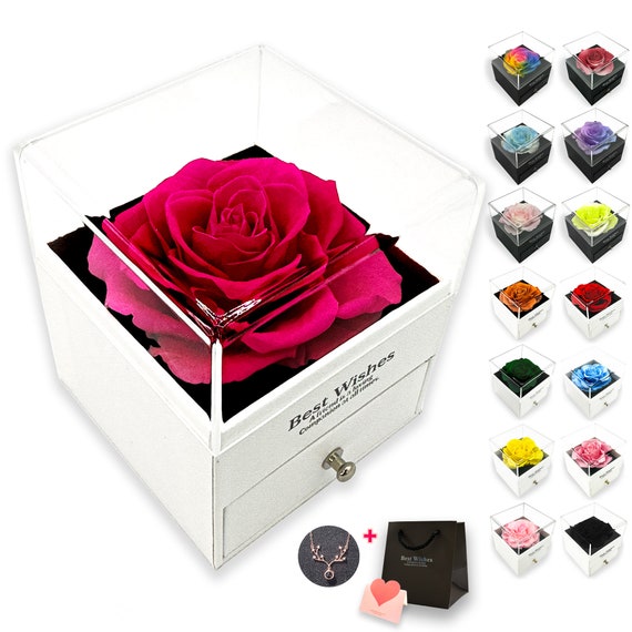 Preserved Rose Flower In a Acrylic Box with Real Gold Plated April Bir –  Liloo Signature