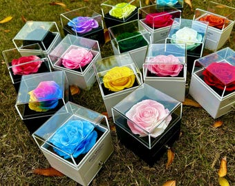 Conjunto de regalo de rosa preservada: joyero con collar "Te amo".