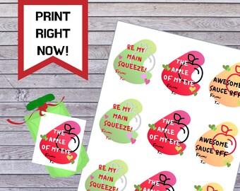 Applesauce Pouch Apple Valentine Printable | Daycare and School Last Minute Valentine’s Day Cards Instant Print
