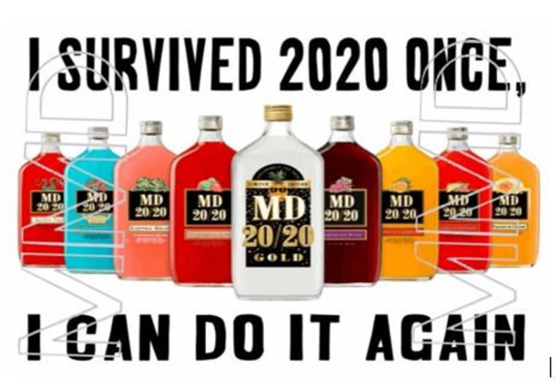i survived 2020 i can do it again