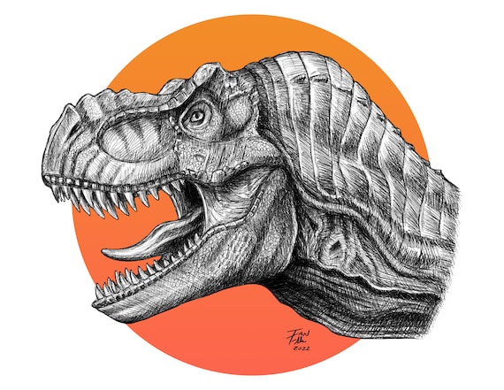 How to draw a Tyrannosaurus rex dinosaur