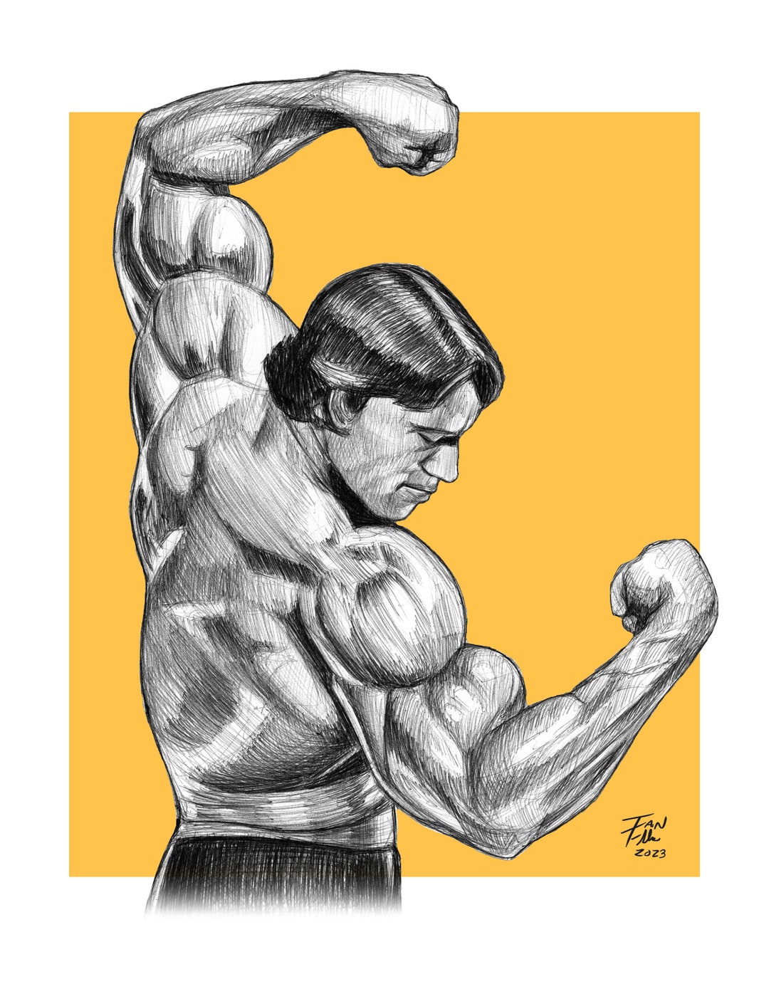 The Austrian Oak, Arnold Schwarzenegger, Body Building, Drawing