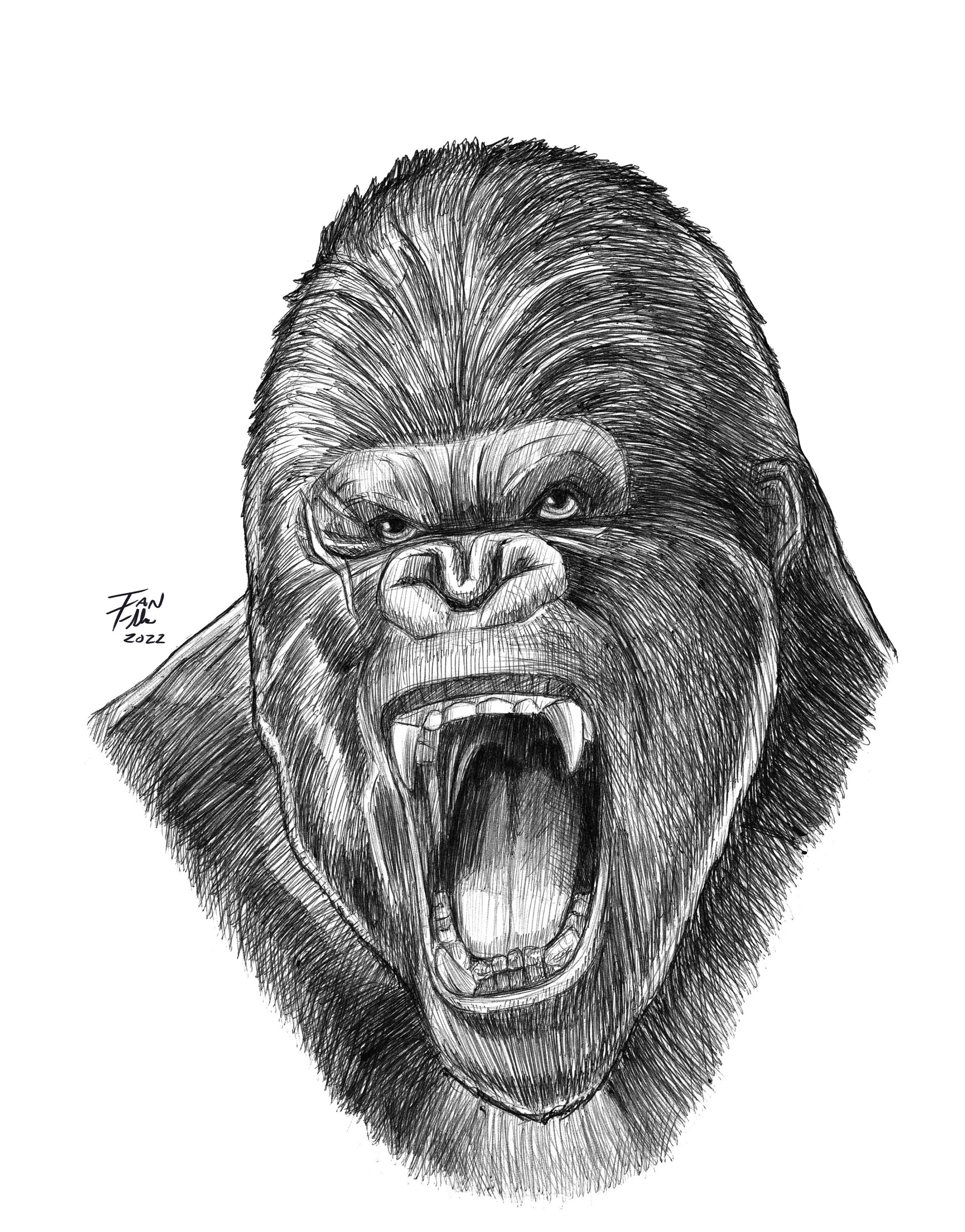 King Kong Drawing, Fine Art Print, Godzilla Vs Kong, Monster, Gorilla,  Animal - Etsy