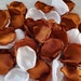 see more listings in the Flower Petals section