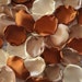 see more listings in the Boho Barn Rustic Petals section