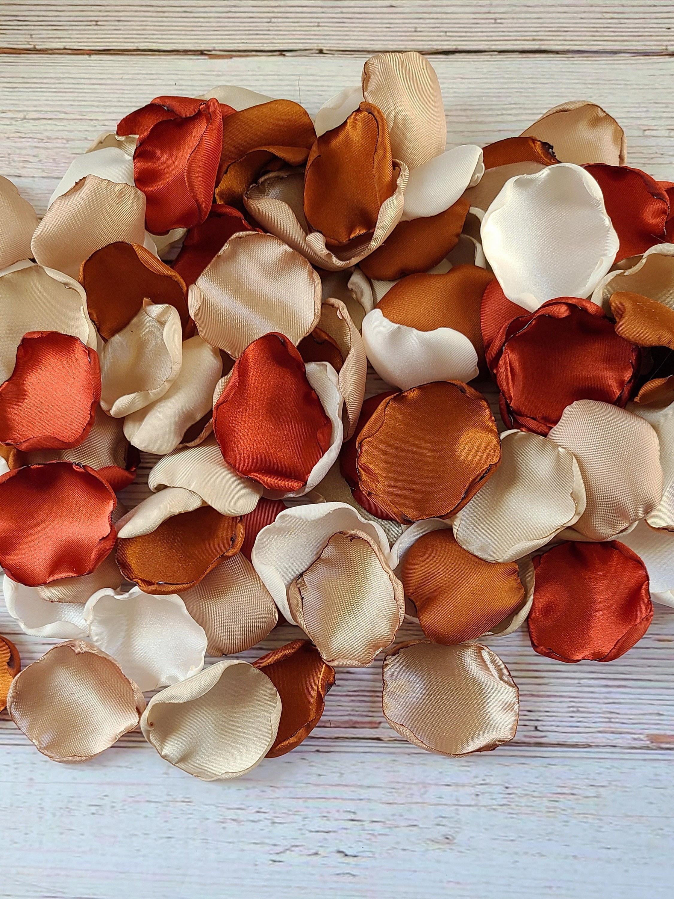 Rust Terracotta Wedding Decor Neutral Beige Rose Petals Wedding Aisle Decor Rustic Flower Girl Petals Country Barn Boho