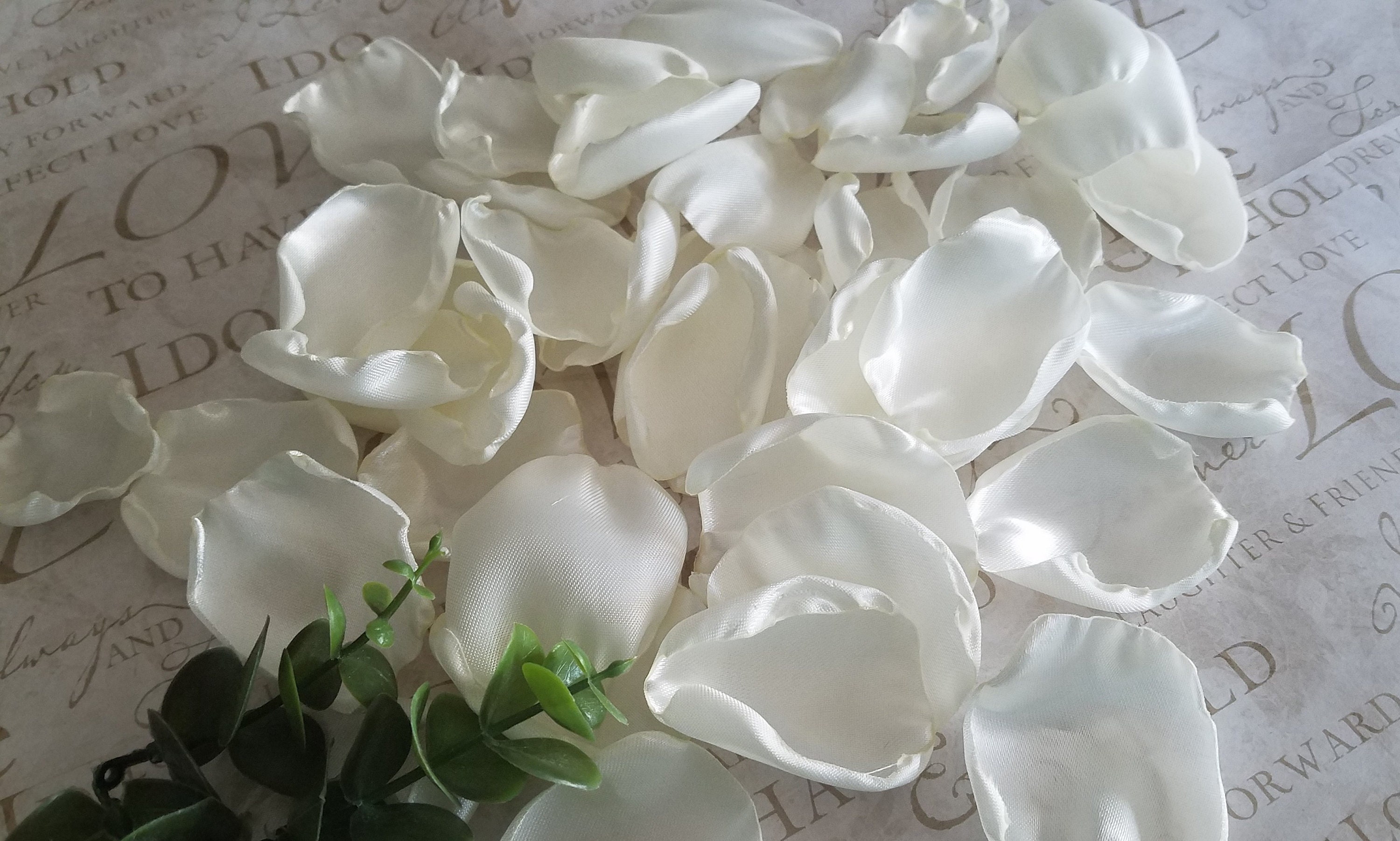 Ivory Rose Petals Ivory Wedding Decor Flower Girl Petals Etsy