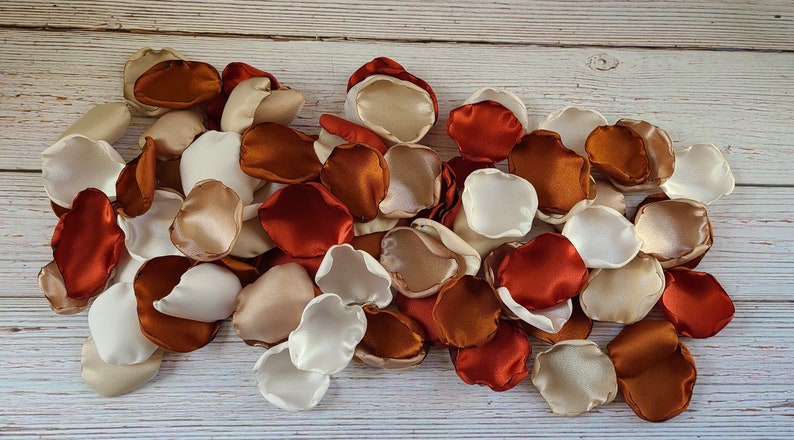 Rust, Terracotta Wedding Decor, Neutral Beige Rose Petals, Wedding Aisle Decor, Rustic Flower Girl Petals, Country Barn, Boho Bridal Shower Bild 7