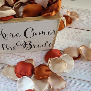 Rust, Terracotta Wedding Decor, Neutral Beige Rose Petals, Wedding Aisle Decor, Rustic Flower Girl Petals, Country Barn, Boho Bridal Shower Bild 6