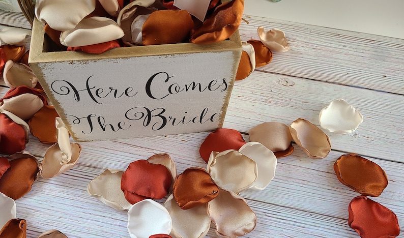 Rust, Terracotta Wedding Decor, Neutral Beige Rose Petals, Wedding Aisle Decor, Rustic Flower Girl Petals, Country Barn, Boho Bridal Shower Bild 6