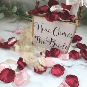 A mix of burgundy, ivory, and blush pink rose petals for flower girl petals, baskets, memory or reception table scatter, backdrop accents, bridal shower decor. For the future bride planning a classic wedding ceremony or fall bridal brunch event.